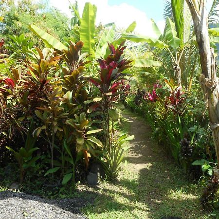 Bed and Breakfast The Bukit Artha Sidemen  Esterno foto