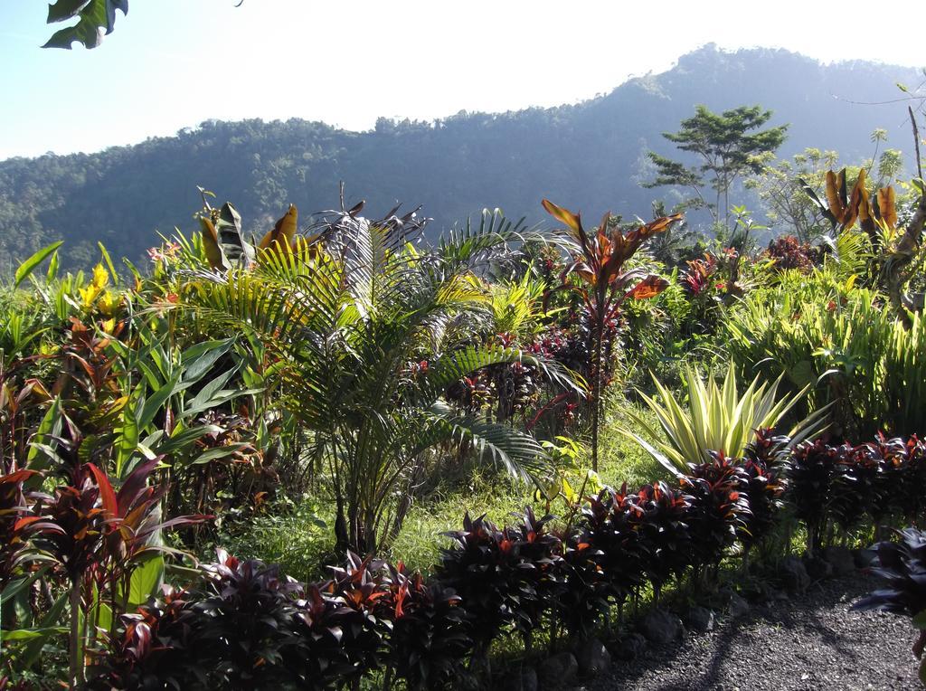 Bed and Breakfast The Bukit Artha Sidemen  Esterno foto