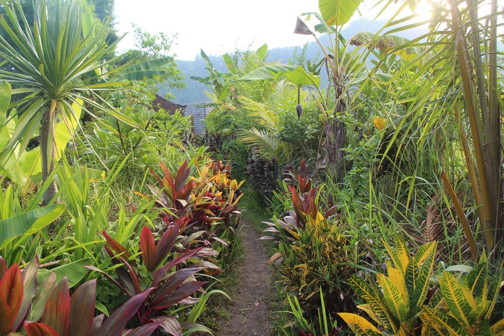 Bed and Breakfast The Bukit Artha Sidemen  Esterno foto