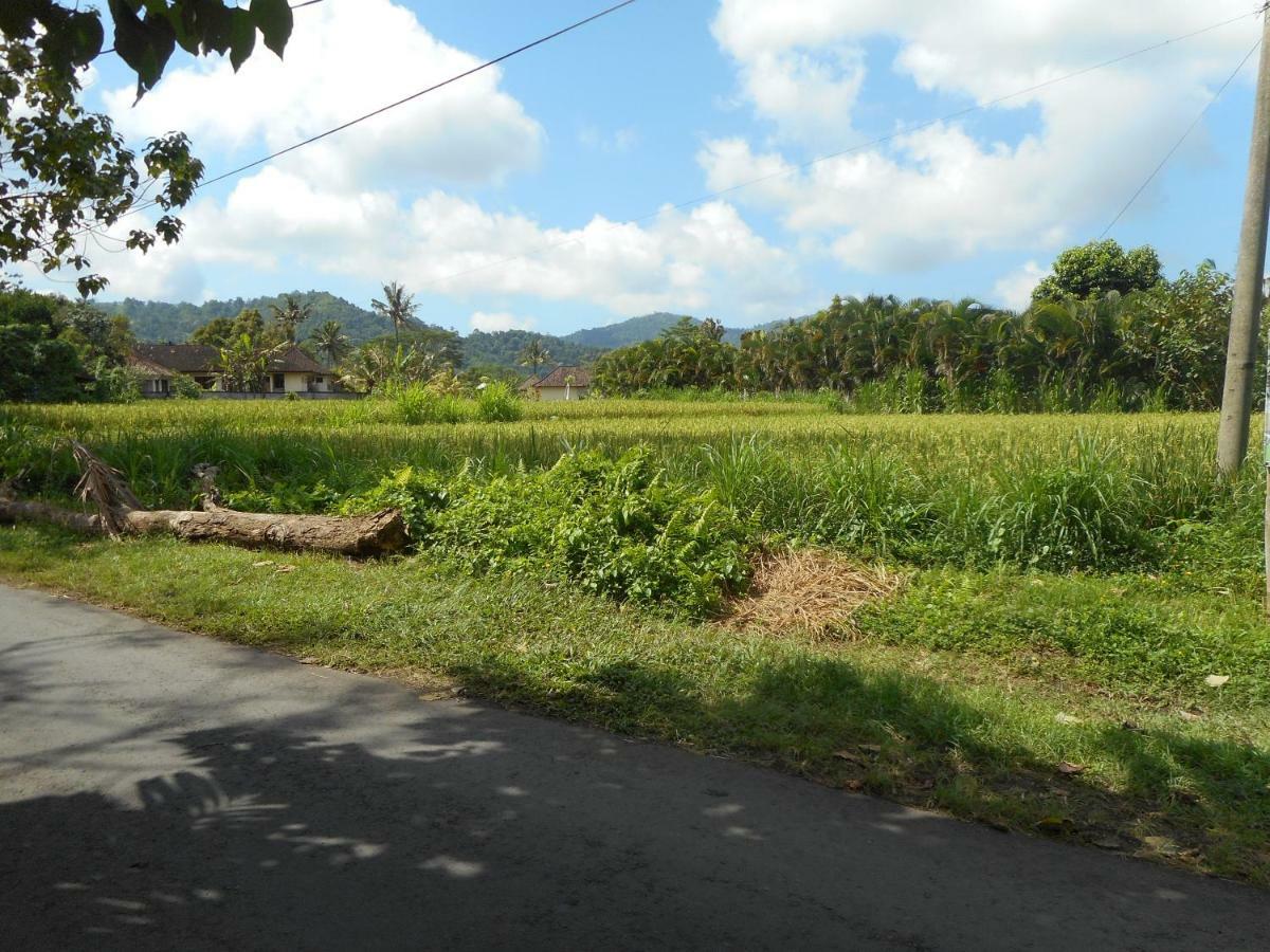 Bed and Breakfast The Bukit Artha Sidemen  Esterno foto