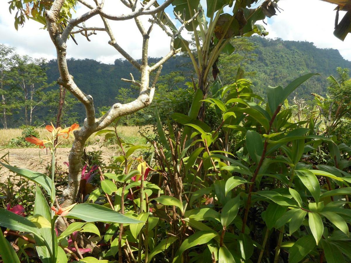 Bed and Breakfast The Bukit Artha Sidemen  Esterno foto