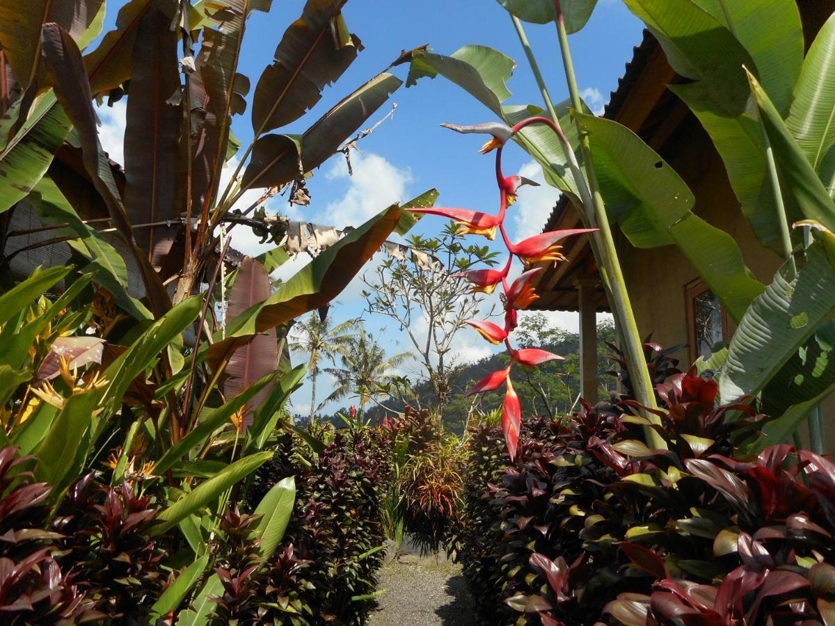 Bed and Breakfast The Bukit Artha Sidemen  Esterno foto