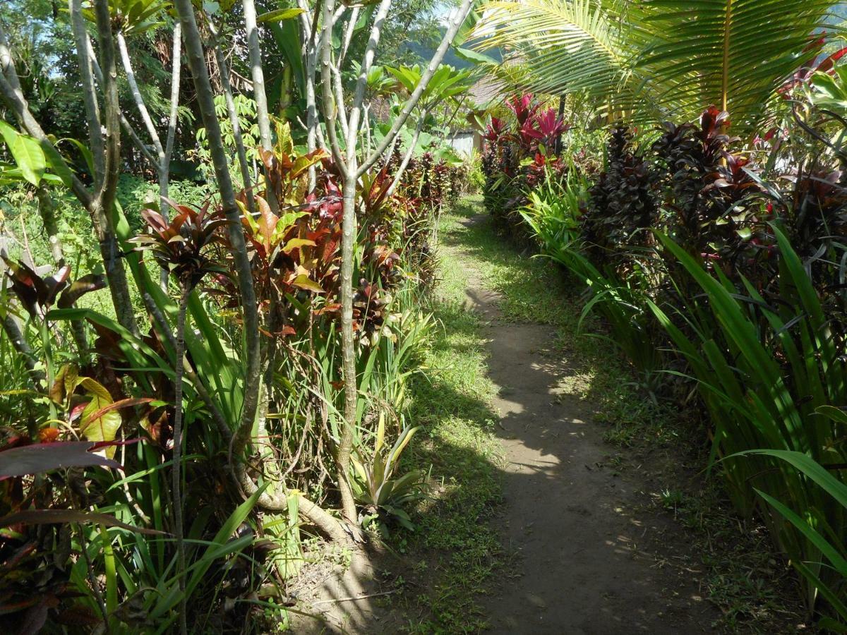 Bed and Breakfast The Bukit Artha Sidemen  Esterno foto