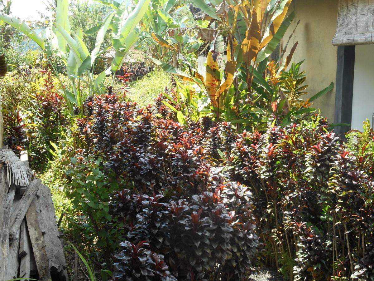 Bed and Breakfast The Bukit Artha Sidemen  Esterno foto