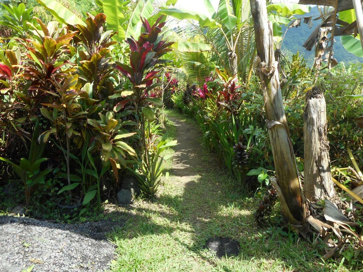 Bed and Breakfast The Bukit Artha Sidemen  Esterno foto