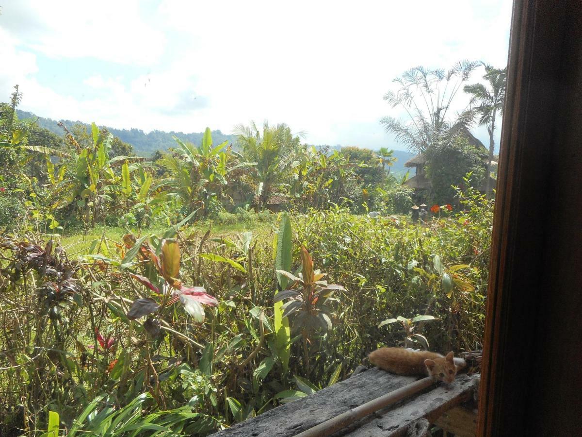 Bed and Breakfast The Bukit Artha Sidemen  Esterno foto