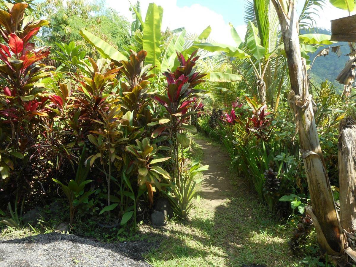 Bed and Breakfast The Bukit Artha Sidemen  Esterno foto