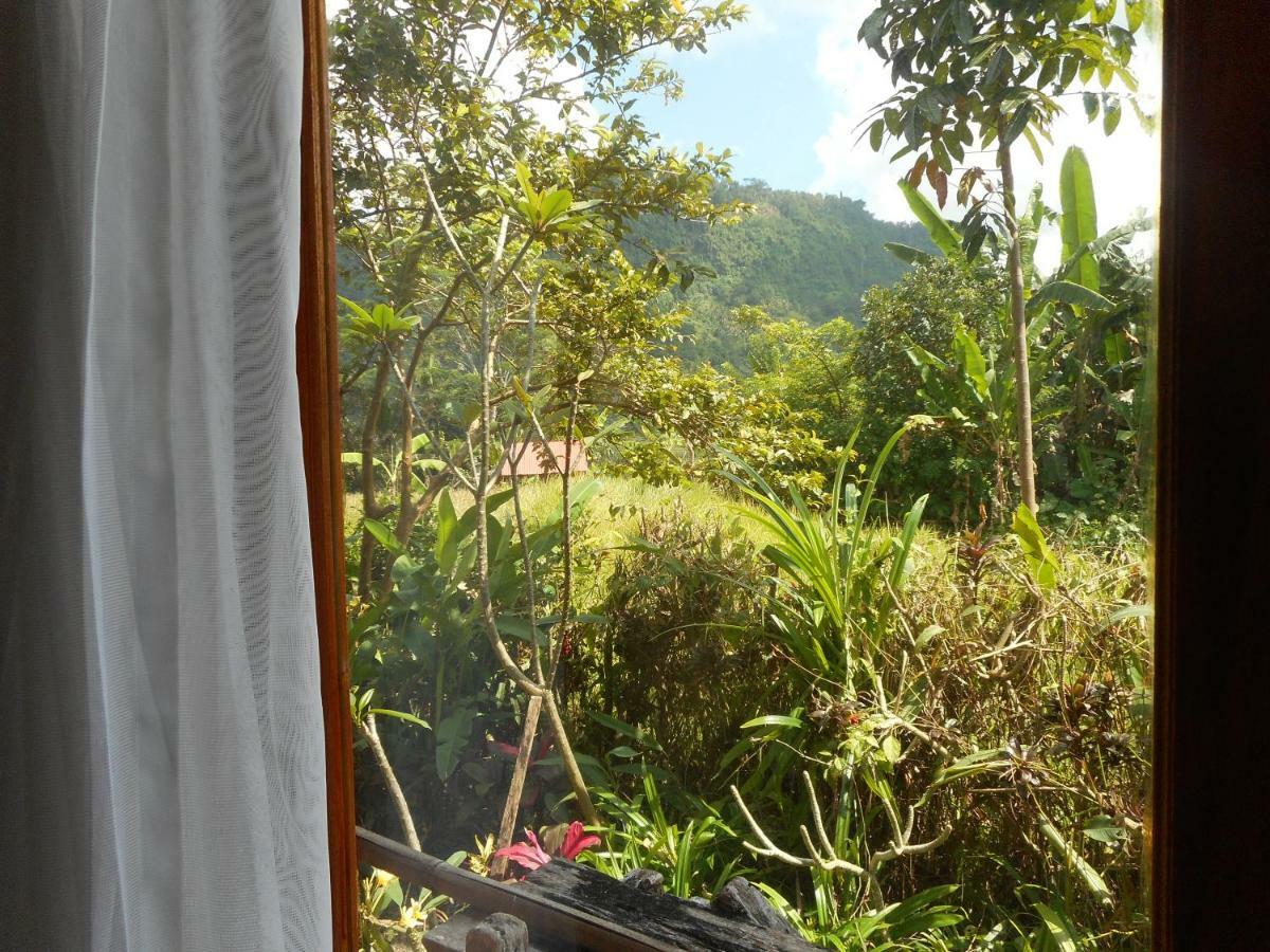 Bed and Breakfast The Bukit Artha Sidemen  Esterno foto