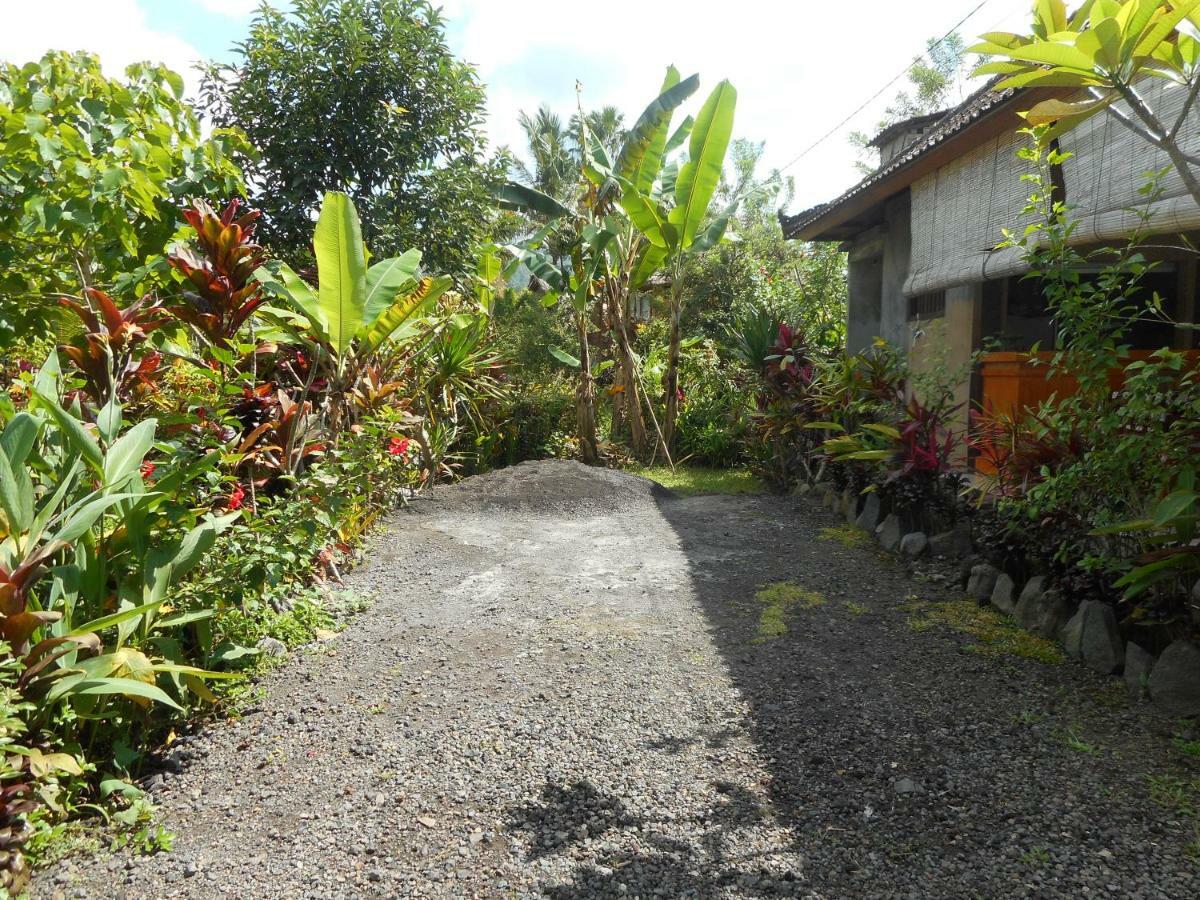 Bed and Breakfast The Bukit Artha Sidemen  Esterno foto
