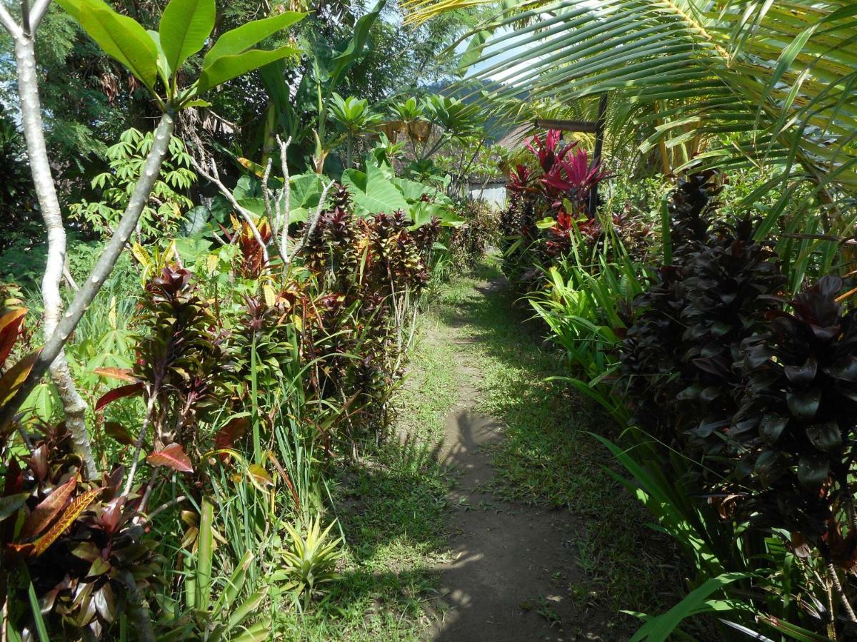 Bed and Breakfast The Bukit Artha Sidemen  Esterno foto
