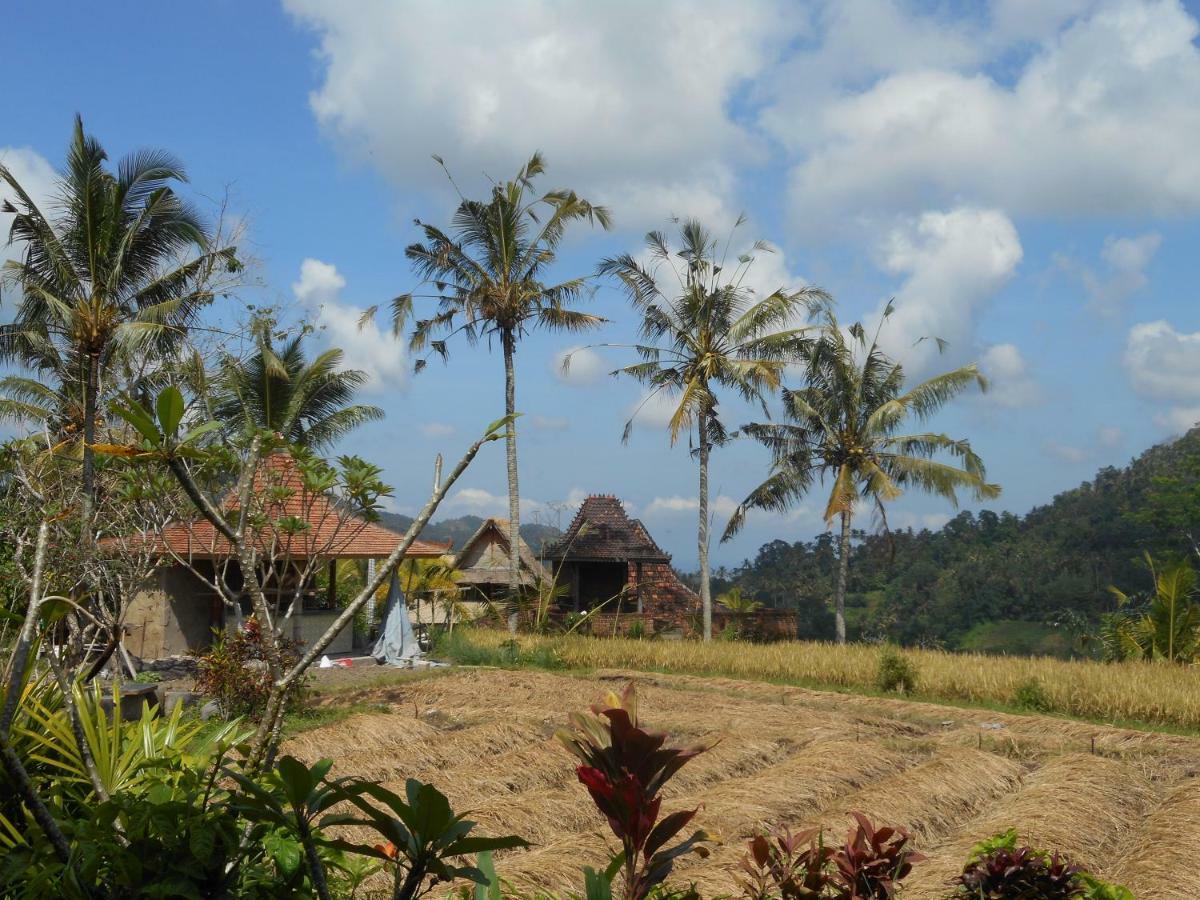 Bed and Breakfast The Bukit Artha Sidemen  Esterno foto