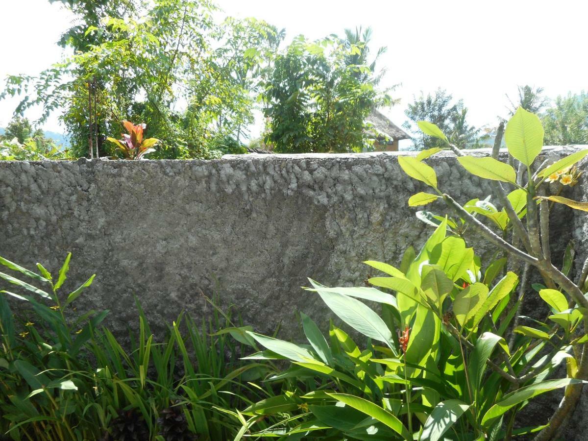 Bed and Breakfast The Bukit Artha Sidemen  Esterno foto